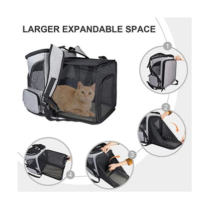 Comfort Companion Pet Backpack