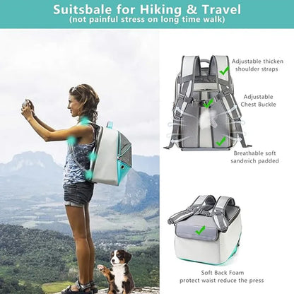 Adventure Travel Pet Backpack