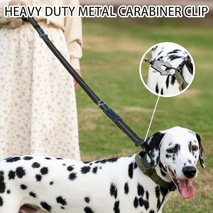 Shock Absorbing Pet Leashes with Car Seatbelt