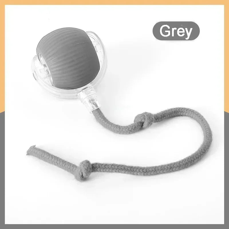 Interactive Cat Adventure Ball