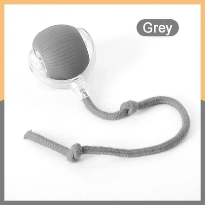 Interactive Cat Adventure Ball