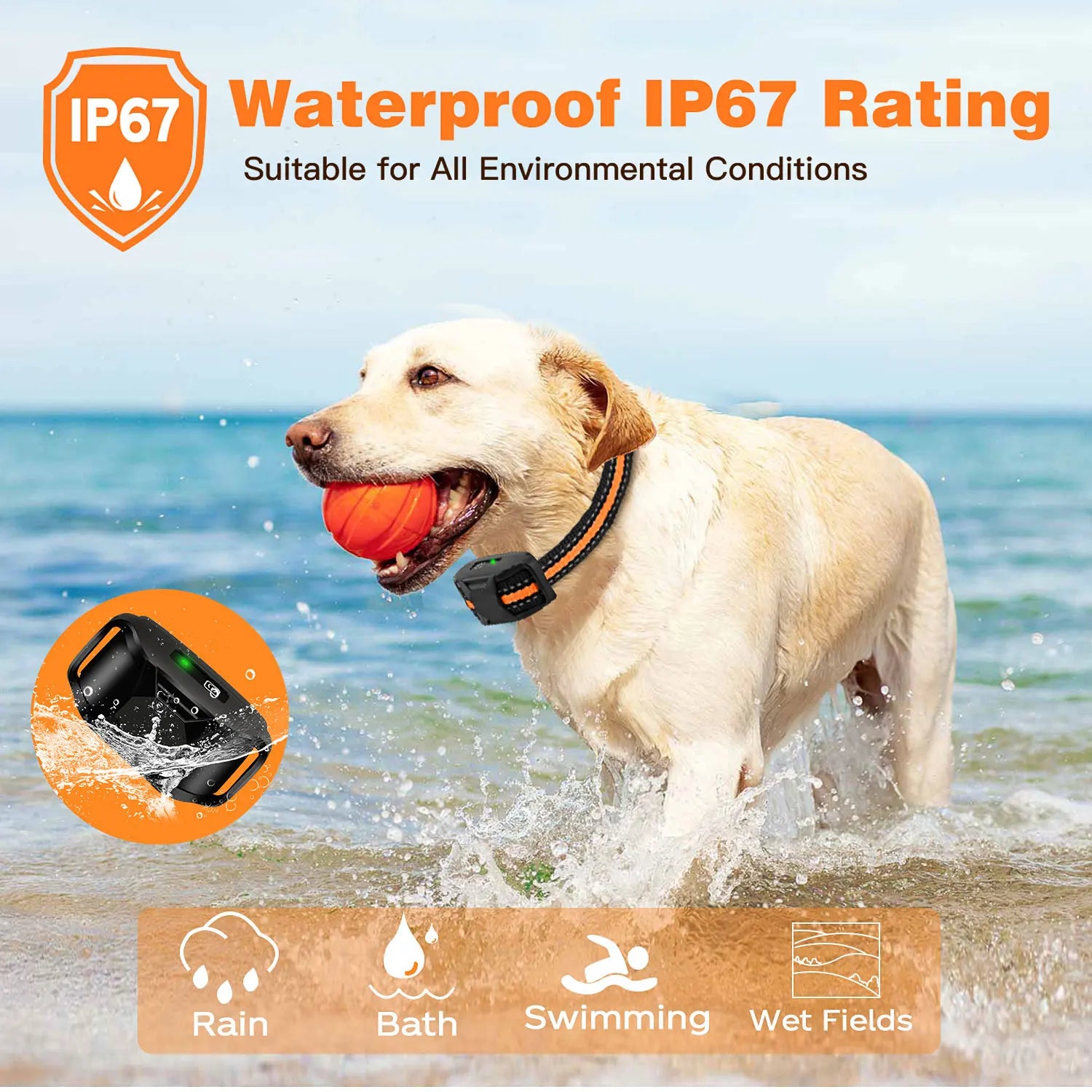  Remote Control Dog Training Collar 