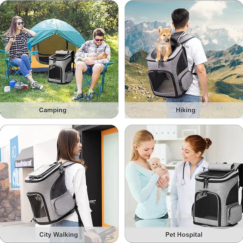 Comfort Companion Pet Backpack
