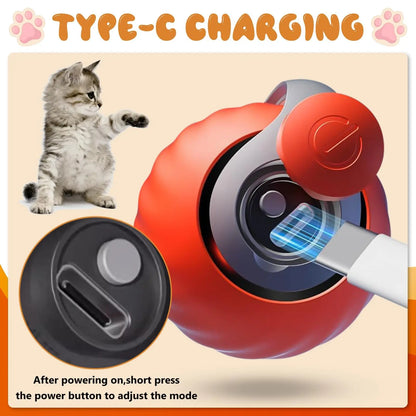 Interactive Cat Adventure Ball