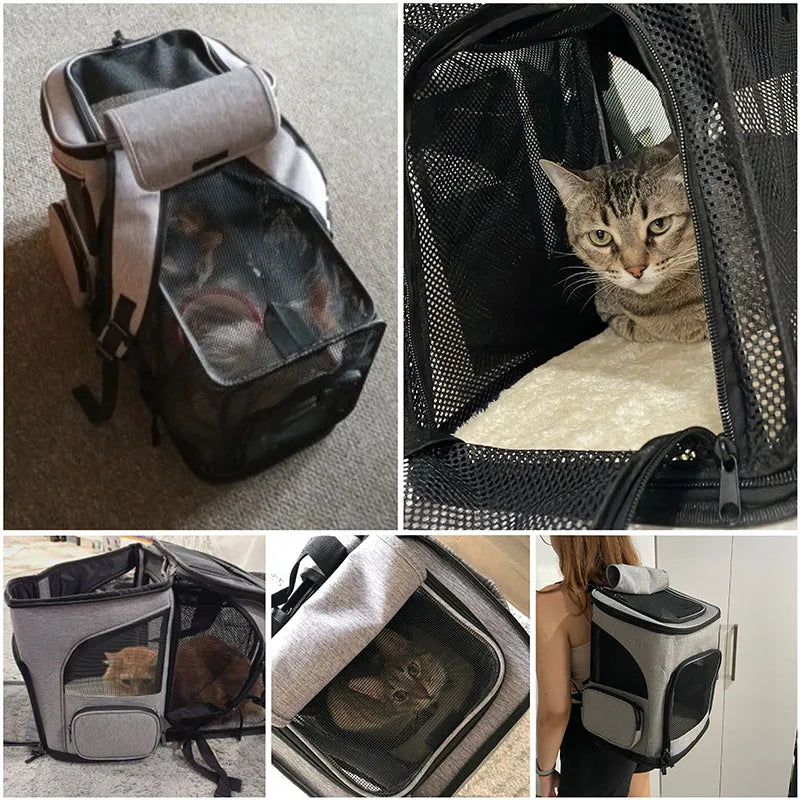 Comfortable Cat Backpack Carrier