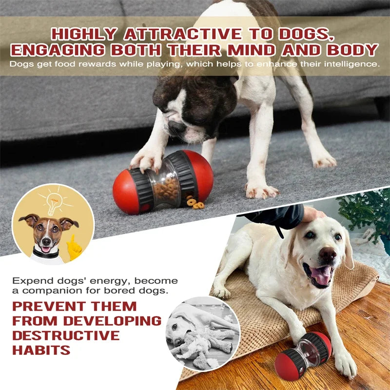Smart Play Dog Ball - Yappyboo 