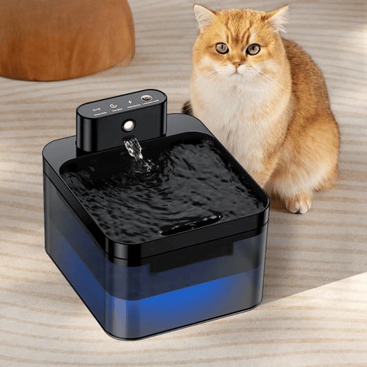  Yappyboo  Smart Cat Water Fountain  