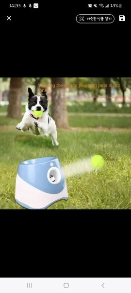 Yappyboo
