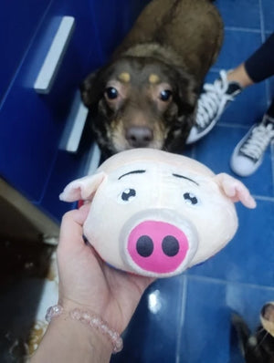 Yappyboo
