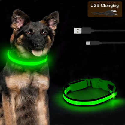 Bright Glow Dog Collar