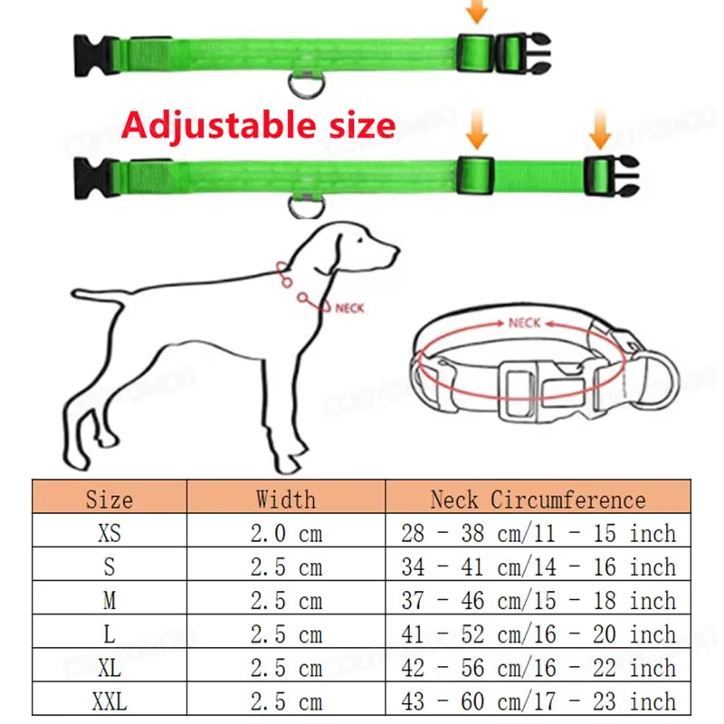 Bright Glow Dog Collar