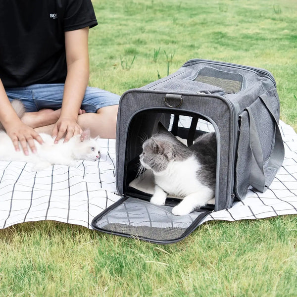  Yappyboo  Comfort Travel Pet Carrier  