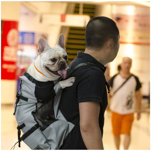 Adventure Dog Travel Pack