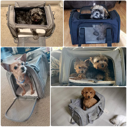 Travel Pet Carriers for Cats and Puppies – Lightweight, Collapsible, and Airline Approved - Yappyboo 