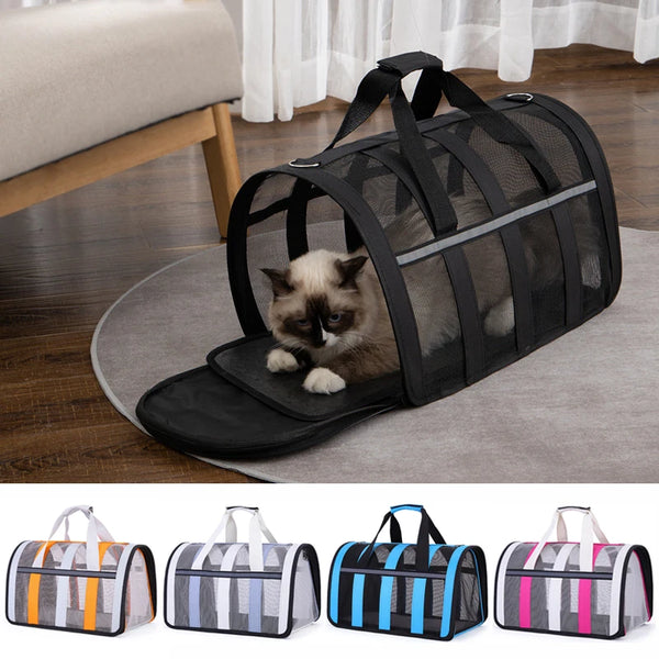 Paws & Cuddles Pet Travel Bag