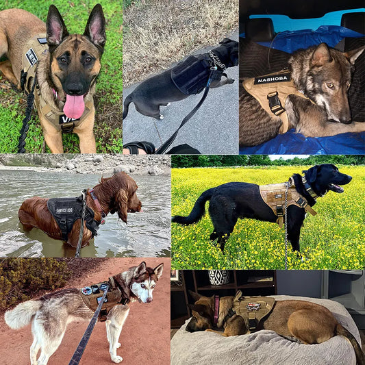  Yappyboo  ProGuard Tactical Dog Harness Set  
