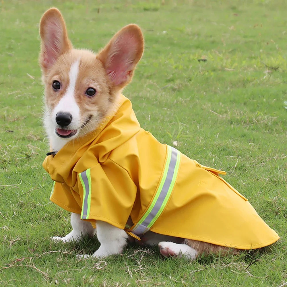 Corgi Cloak Style Dog Raincoat - Yappyboo 